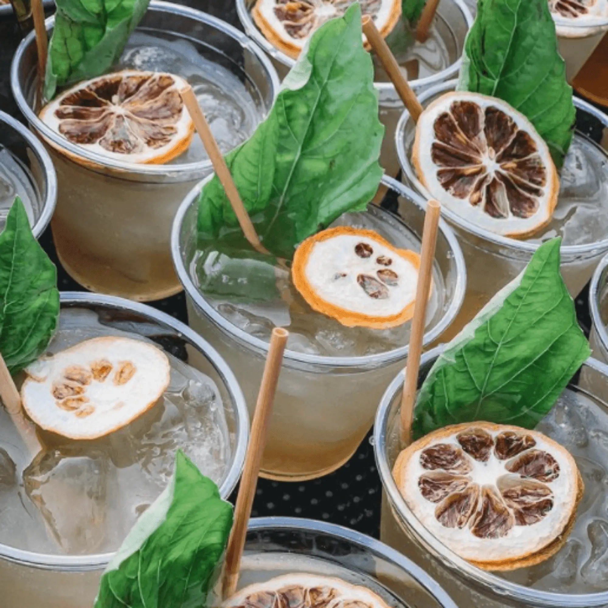 5.75" Cocktail Wheat Stem Drinking Straws | Inner Pack | 10 x 50ct. Boxes